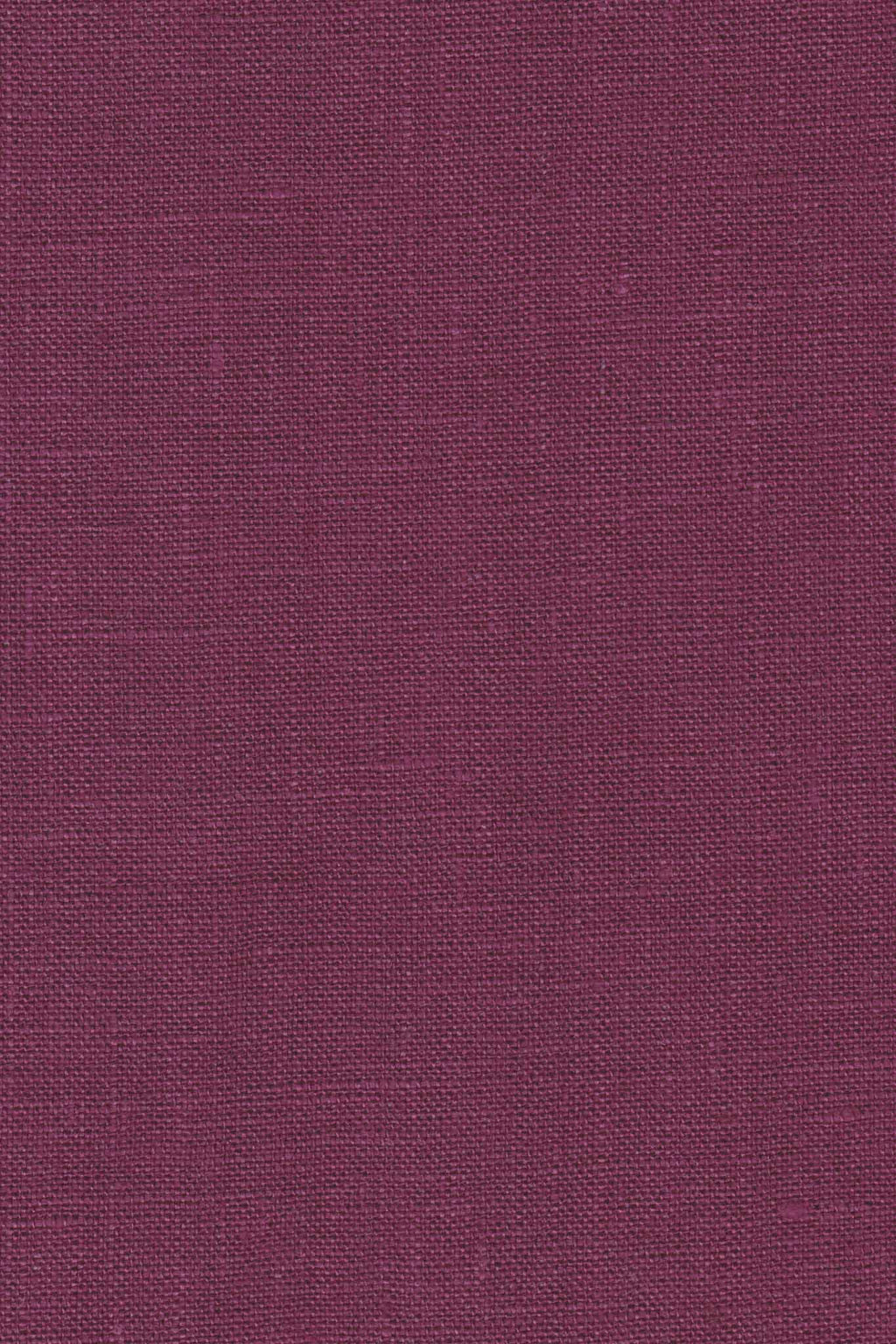 Crescent Moon Pants (Updated) in Orchid