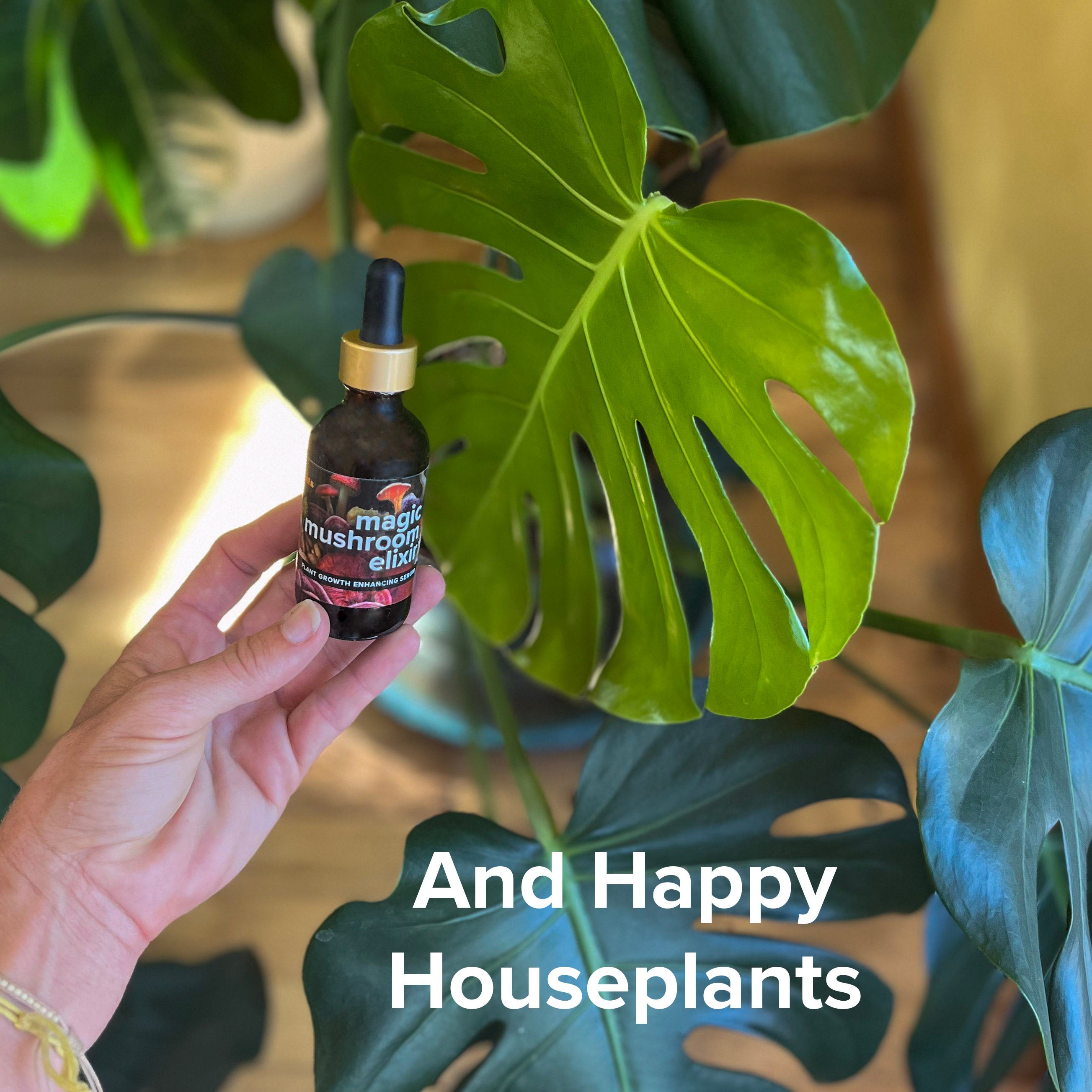 Magic Mushroom Elixir